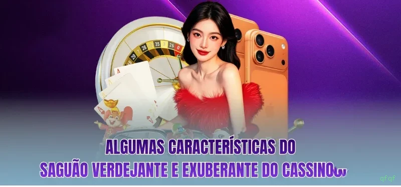Programa VIP qfqf